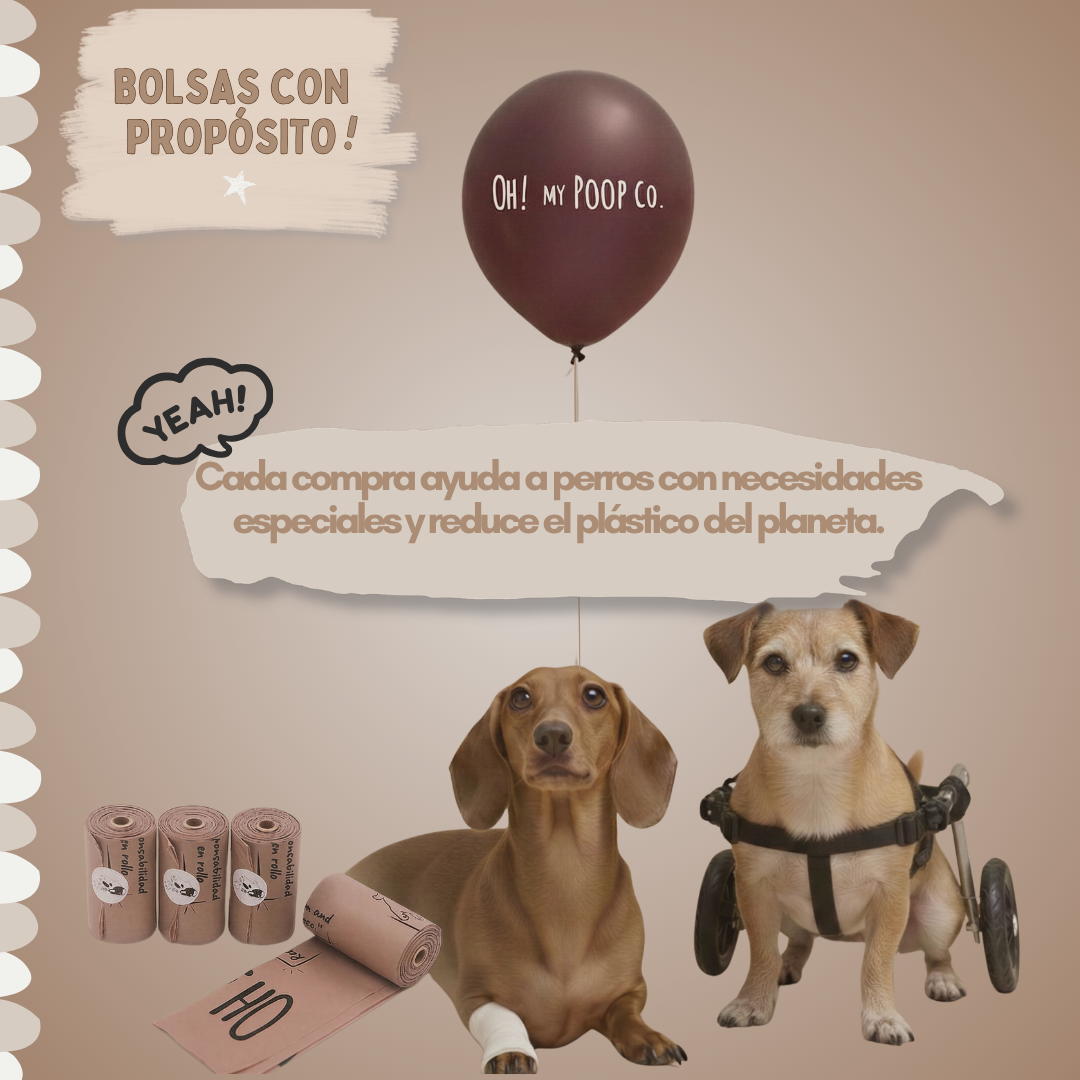 Bolsas compostables certificadas